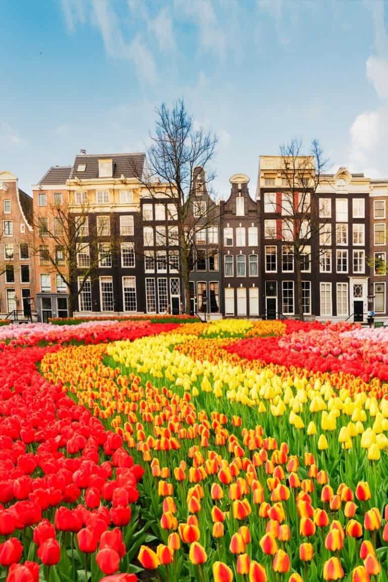 19 FUN Facts About Amsterdam That Will Amaze You!