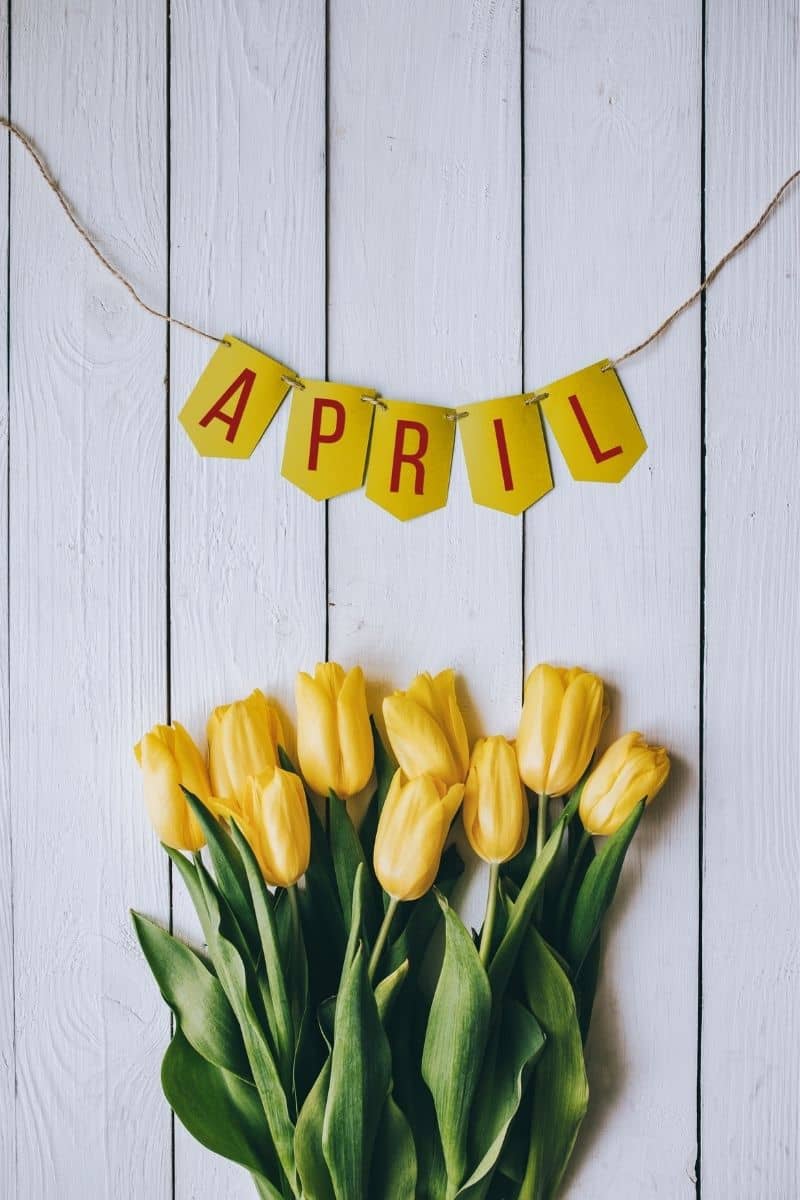 16 FUN Facts About April That Will Amaze You (2024 Facts)