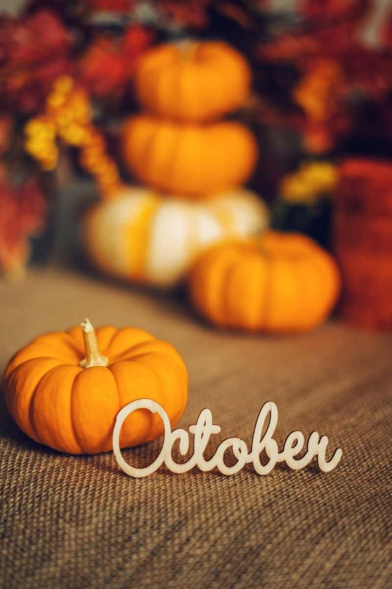 21 FUN Facts About October That Will Amaze You (2023 Facts)