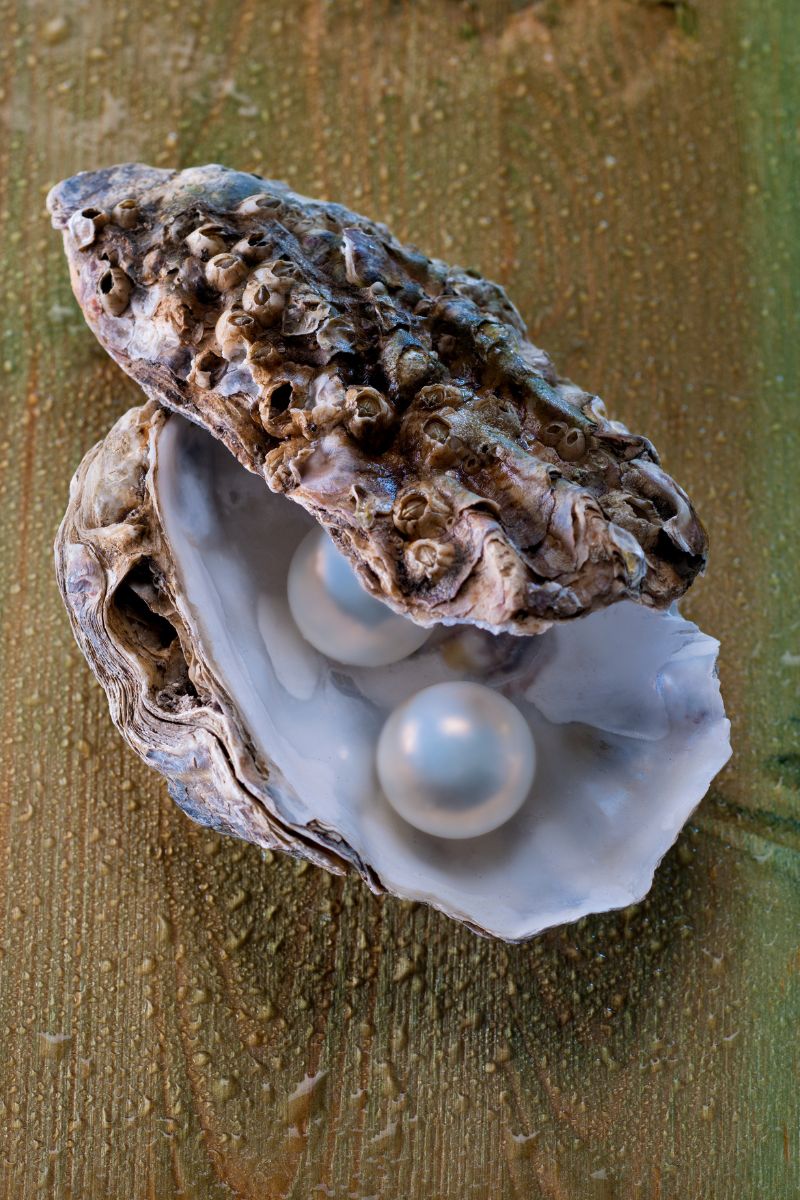 21 FUN Facts About Pearls That Will Amaze You!