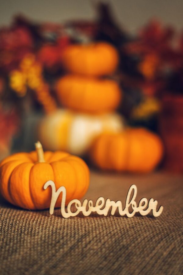 21 FUN Facts About November That Will Amaze You (2024 Facts)