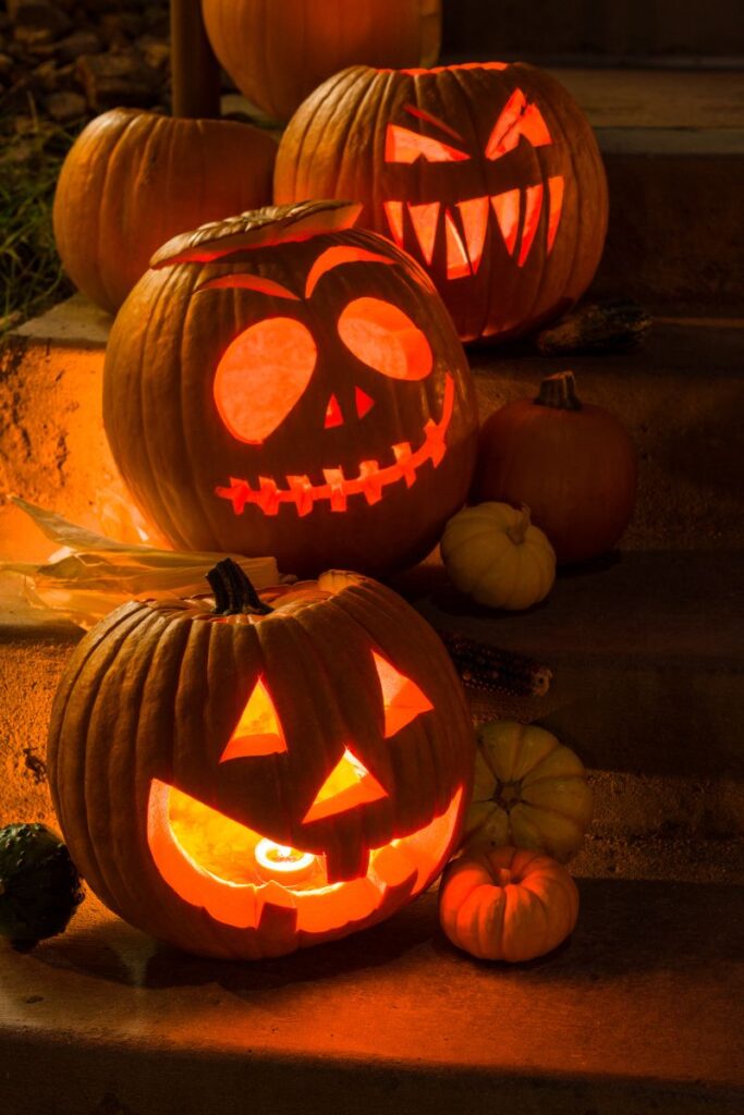 19 FUN Facts About Pumpkins That Will Amaze You!